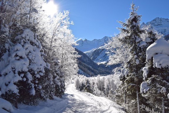 Wintersport Wintersport